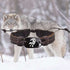 Bracelet Loup de Force (Cuir)